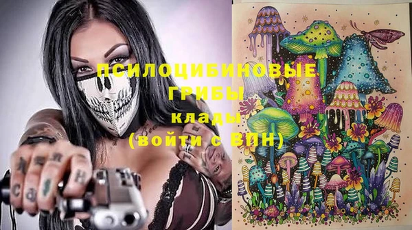 spice Алексин